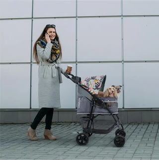 Ibiyaya Cloud 9 4-Wheel Foldable Pet Stroller - Mint Green | Henlo Pets