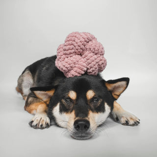 Lambwolf Collective NOU NOU NOU Multicolour Dog Toy | Henlo Pets