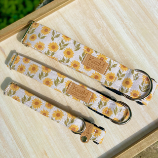 K and M Sunflower Fields Dog Collar | Henlo Pets