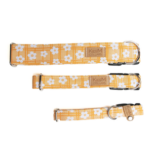 K and M Bright Yellow Daisies On Plaid Dog Collar | Henlo Pets