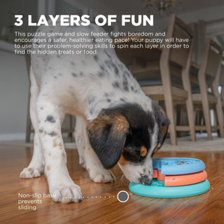 Nina Ottosson Puppy Lickin' Layers Slow Food Dog Bowl | Henlo Pets