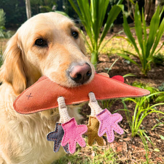 Georgie Paws Larry Lizard Leather Dog Toy | Henlo Pets