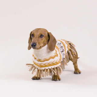 Alqo Wasi Llama Natural Alpaca Dog Poncho | Henlo Pets