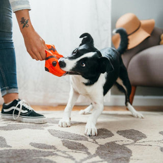 P.L.A.Y. Globetrotter Plush Dog Toy Collection | Henlo Pets