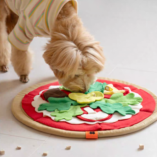 Mewoofun Pizza Nose Work Snuffle Mat | Henlo Pets