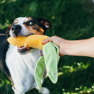P.L.A.Y. Farm Fresh Plush Dog Toy Collection | Henlo Pets