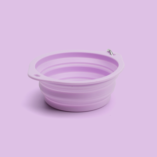 Silicone Collapsible Travel Bowl for Dogs & Cats Lilac | Henlo Pets