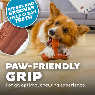 Outward Hound Dogwood Hold & Chew Durable Dog Chew Toy | Henlo Pets