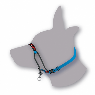 Black Dog Wear - Training Halter Blue | Henlo Pets