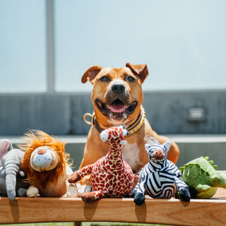 P.L.A.Y. Safari Plush Dog Toy Collection | Henlo Pets