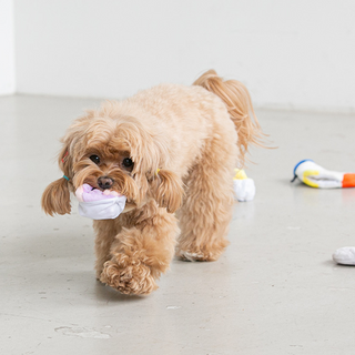 Bite Me Socks Nose Work Dog Toy | Henlo Pets