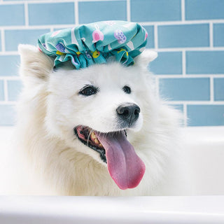 P.L.A.Y. Splish Splash Plush Dog Toy Collection | Henlo Pets