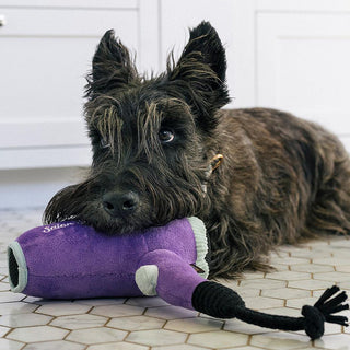 P.L.A.Y. Splish Splash Plush Dog Toy Collection | Henlo Pets