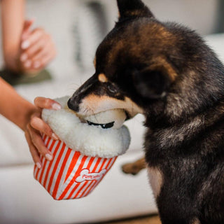P.L.A.Y. Hollywoof Cinema Plush Dog Toy Collection | Henlo Pets