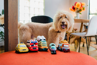 P.L.A.Y. Canine Commute Plush Dog Toy Collection | Henlo Pets