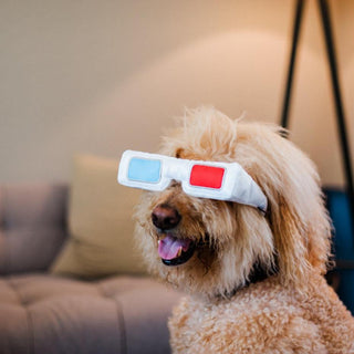 P.L.A.Y. Hollywoof Cinema Plush Dog Toy Collection | Henlo Pets