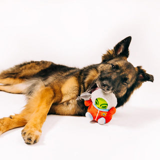 P.L.A.Y. Alien Buddies Astro Explorer 2-in-1 Tough Dog Toy | Henlo Pets