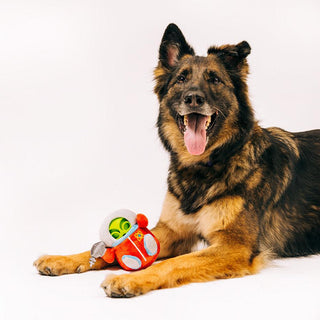 P.L.A.Y. Alien Buddies Astro Explorer 2-in-1 Tough Dog Toy | Henlo Pets