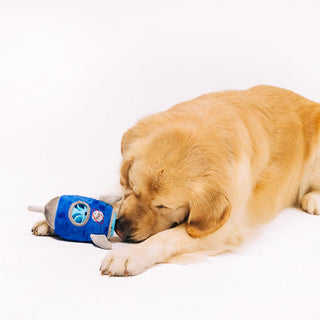P.L.A.Y. Alien Buddies Starblaster 2-in-1 Tough Dog Toy | Henlo Pets