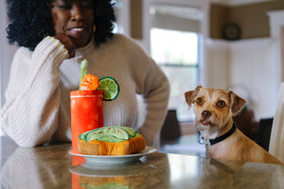 P.L.A.Y. Barking Brunch Plush Dog Toy Collection | Henlo Pets