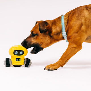 P.L.A.Y. Alien Buddies Robo-Rover 2-in-1 Tough Dog Toy | Henlo Pets