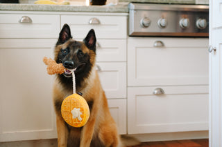 P.L.A.Y. Barking Brunch Plush Dog Toy Collection | Henlo Pets
