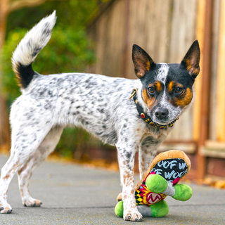 P.L.A.Y. 90s Classic Plush Dog Toy Collection | Henlo Pets