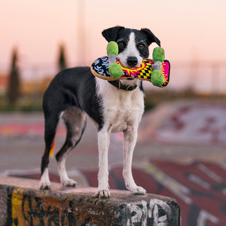 P.L.A.Y. 90s Classic Plush Dog Toy Collection | Henlo Pets