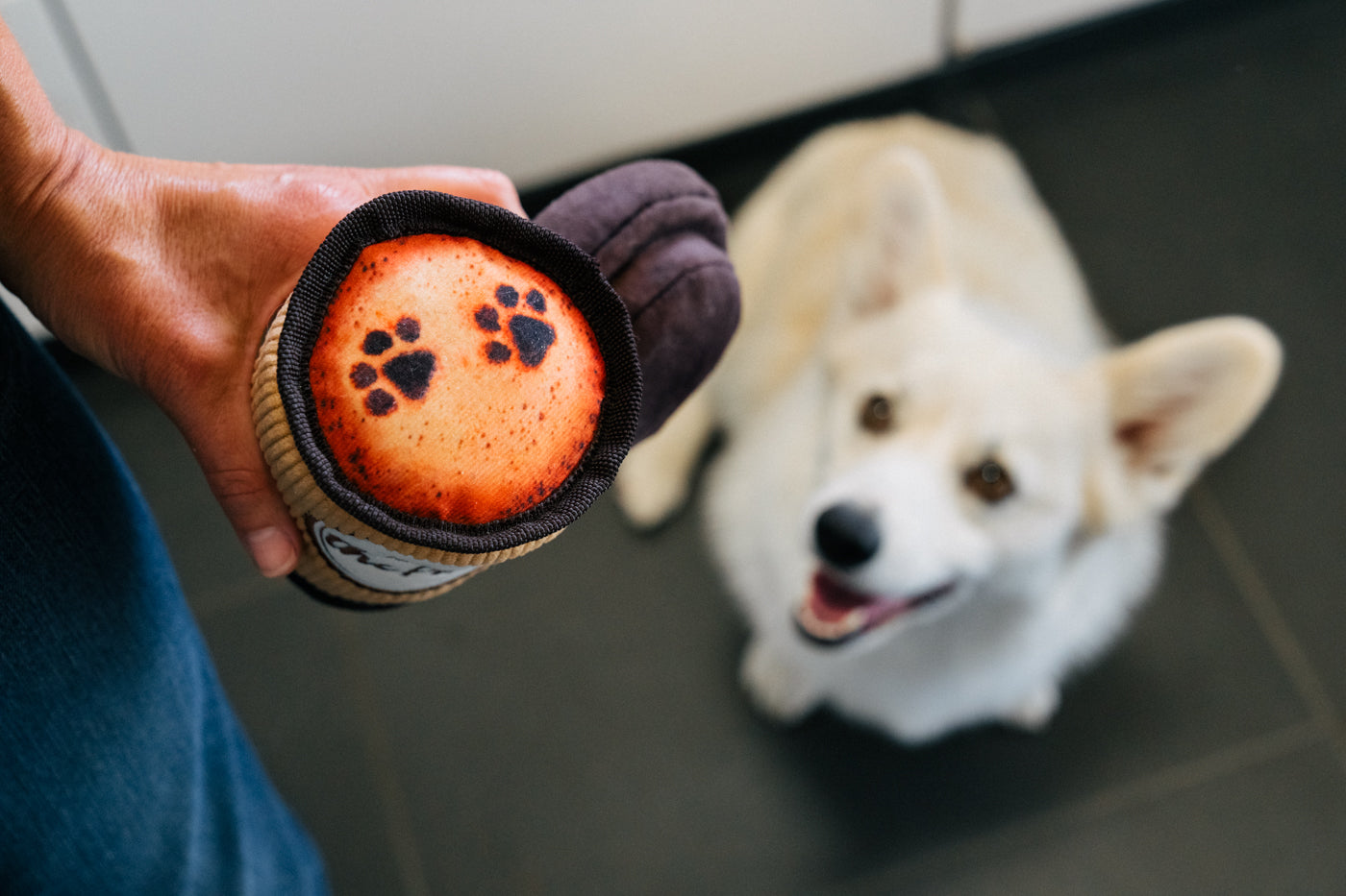 P.L.A.Y. - Pup Cup Cafe Doggo&#39;s Java - Henlo Pets