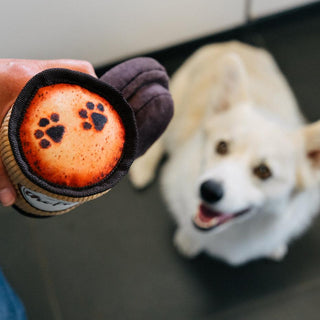 P.L.A.Y. Pup Cup Cafe Plush Dog Toy Collection | Henlo Pets