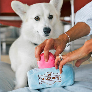 P.L.A.Y. Pup Cup Cafe Plush Dog Toy Collection | Henlo Pets