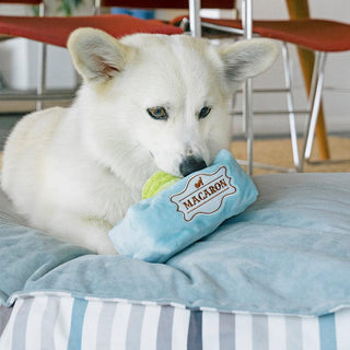 P.L.A.Y. Pup Cup Cafe Plush Dog Toy Collection | Henlo Pets
