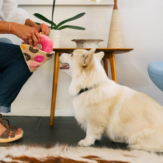P.L.A.Y. Pup Cup Cafe Plush Dog Toy Collection | Henlo Pets