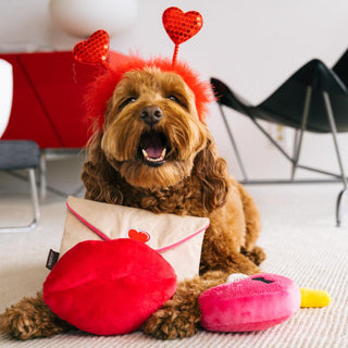 P.L.A.Y. Love Bug Plush Dog Toy Collection | Henlo Pets