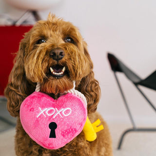 P.L.A.Y. Love Bug Plush Dog Toy Collection | Henlo Pets