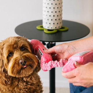P.L.A.Y. 80s Classics Plush Dog Toy Collection | Henlo Pets