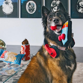 P.L.A.Y. 80s Classics Plush Dog Toy Collection | Henlo Pets