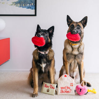 P.L.A.Y. Love Bug Plush Dog Toy Collection | Henlo Pets