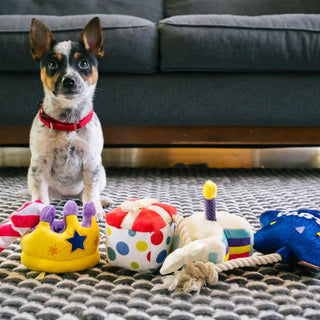 P.L.A.Y. Party Time Plush Dog Toy Collection | Henlo Pets