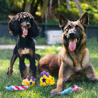 P.L.A.Y. Party Time Plush Dog Toy Collection | Henlo Pets