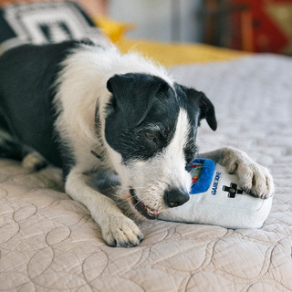 P.L.A.Y. 90s Classic Plush Dog Toy Collection | Henlo Pets