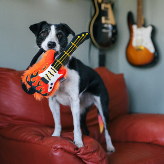 P.L.A.Y. 90s Classic Plush Dog Toy Collection | Henlo Pets