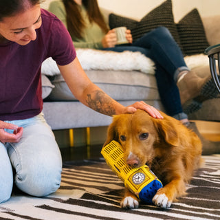 P.L.A.Y. Totally Touristy Big Ben Plush Dog Toy | Henlo Pets