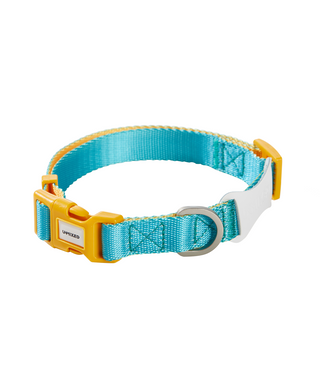 Unmixed Everyday Dog Collar - Turquoise | Henlo Pets