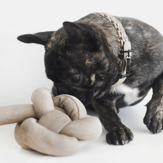 Lambwolf Collective NOU NOU Multicolour Dog Toy | Henlo Pets