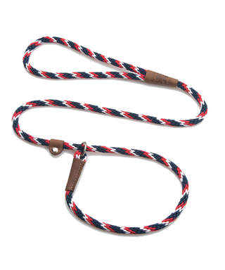 Mendota Pet Slip Leash Pride | Henlo Pets