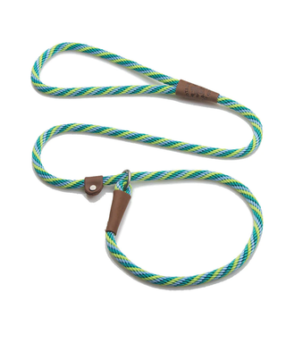 Mendota Pet Slip Leash Seafoam | Henlo Pets