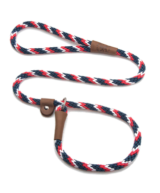 Mendota Pet Slip Leash Pride | Henlo Pets