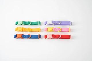 Approved by Fritz Pink Lemonade Collar | Henlo Pets