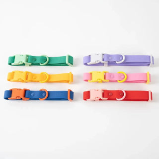 Approved by Fritz Orange Mango Collar | Henlo Pets